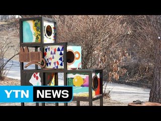 [좋은뉴스] 학생들의 따뜻함이 모여 완성된 '고양이 쉼터' / YTN (Yes! Top News)
