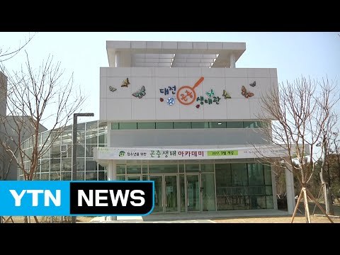 [대전·대덕] 대전 곤충생태관, 개관 5개월 만에 10만 명 돌파 / YTN (Yes! Top News)