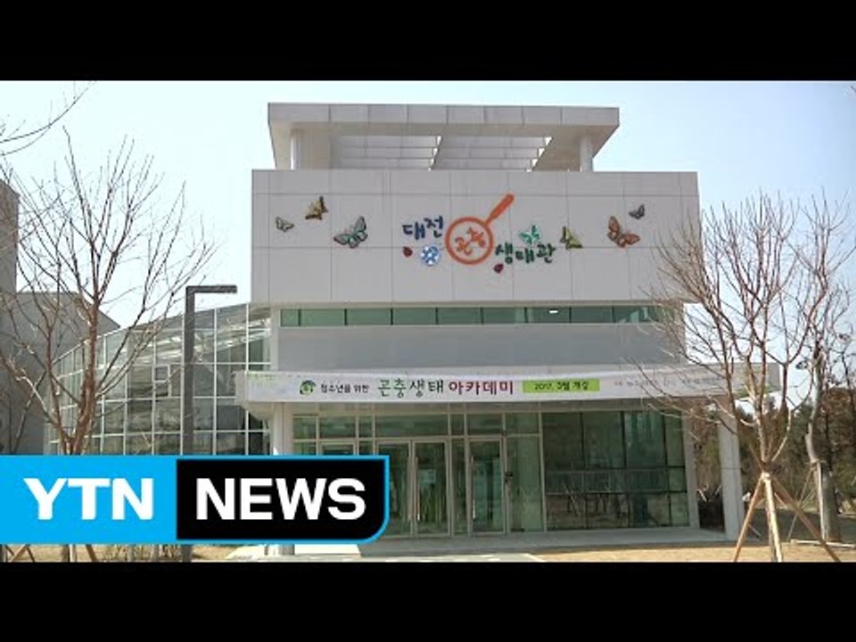 [대전·대덕] 대전 곤충생태관, 개관 5개월 만에 10만 명 돌파 / YTN (Yes...