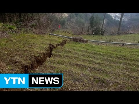 울릉도 주택 균열·지반 침하...주민 10여 명 대피 / YTN (Yes! Top News)