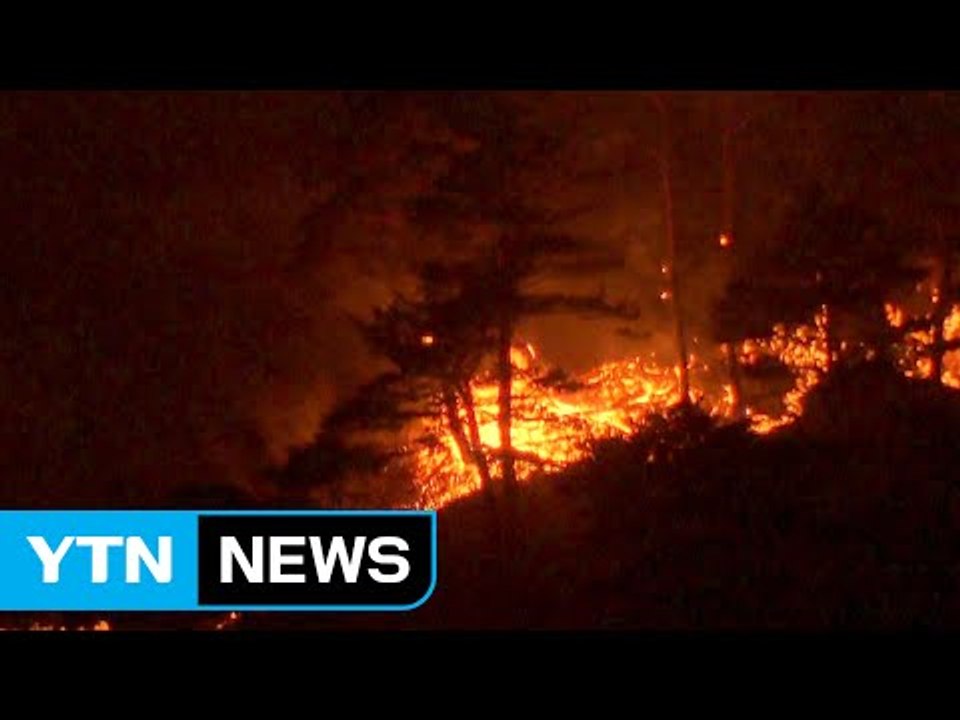 강릉 산불 재발화...야간 진화 난항 / YTN (Yes! Top News)