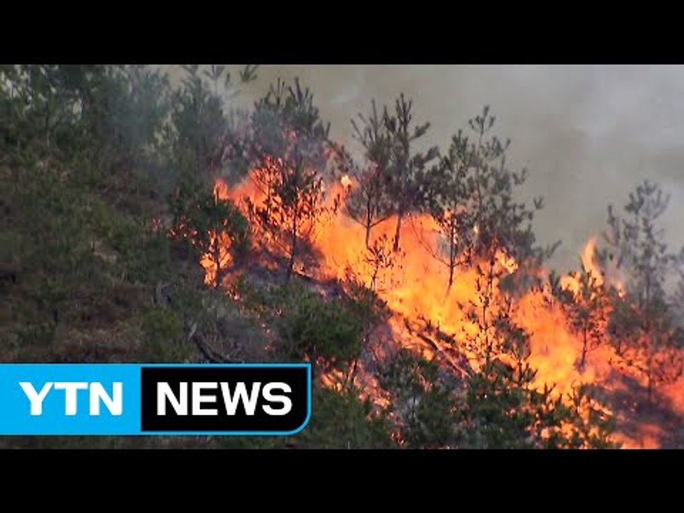 바싹 메마른 봄...전국 곳곳 산불 '화약고' / YTN (Yes! Top News)