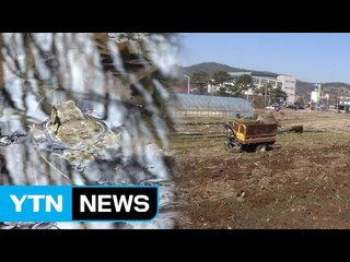 겨울잠 깬 두꺼비...바빠진 농촌 들녘 / YTN (Yes! Top News)