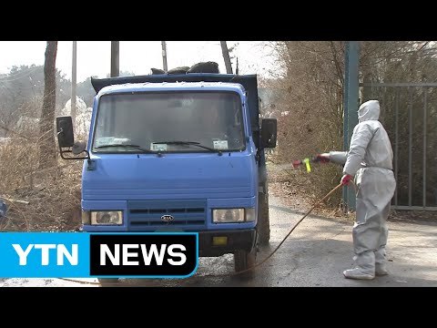 고양 H5형 AI 확진...이달 말이 재확산 최대 고비 / YTN (Yes! Top News)