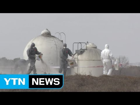 경기 고양 AI 의심신고...이달 말이 재확산 최대 고비 / YTN (Yes! Top News)