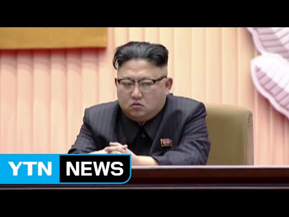 "김정은, 숨겨진 자식이라 주저 없이 처형" / YTN (Yes! Top News)