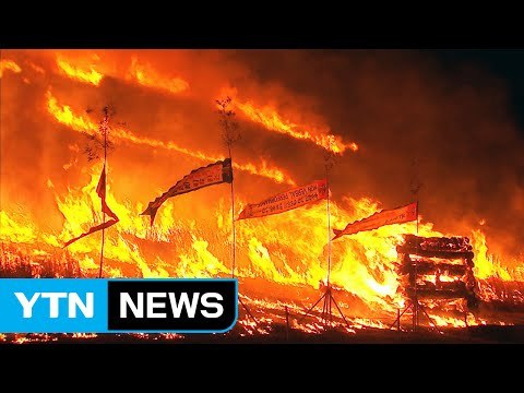 [영상] 제주 들불 축제...오름 전체가 불기둥 / YTN (Yes! Top News)