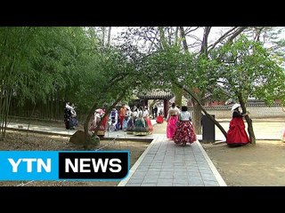 봄기운이 완연한 경칩...남도에는 봄꽃 '활짝' / YTN (Yes! Top News)