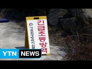 소강상태 보이던 AI 다시 서해안 벨트타고 확산 조짐 / YTN (Yes! Top News)