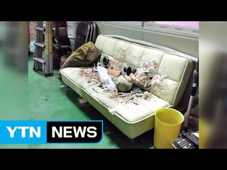 "음주운전 하지 말랬더니..." 남편 앞에서 분신한 아내 / YTN (Yes! Top News)