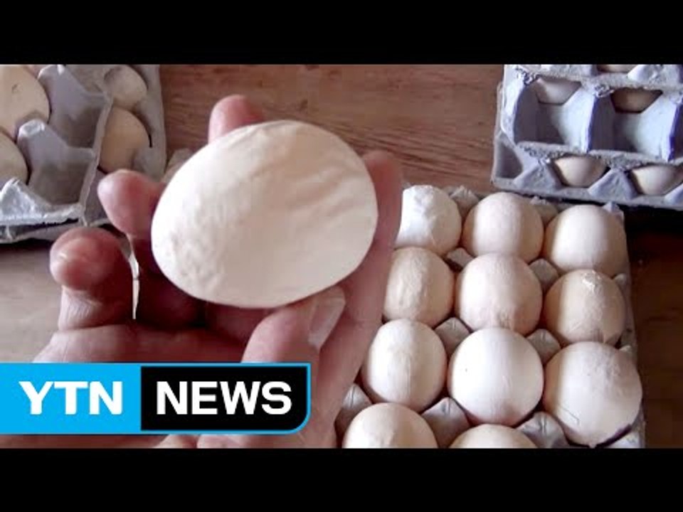 불량 달걀 30만 개 유통한 업자·농장주 적발 / YTN (Yes! Top News)