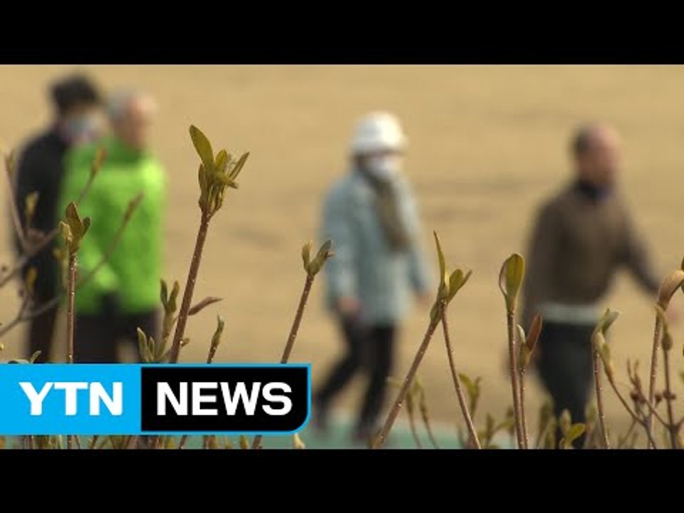 [날씨] 성큼 다가온 봄, 맑고 포근...일교차 주의 / YTN (Yes! Top N...