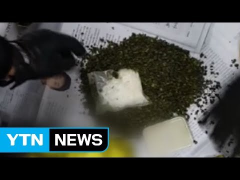 녹차 속에 몰래... 3만 명분 마약 밀반입 적발 / YTN (Yes! Top News)