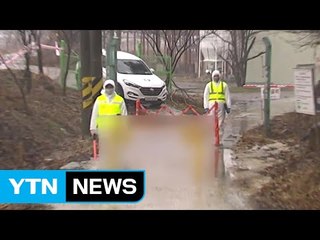 철새 북상 중, 주춤하던 AI 다시 '비상' / YTN (Yes! Top News)