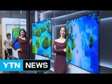 [기업] LG전자, 벽지처럼 붙이는 프리미엄 TV 출시 / YTN (Yes! Top News)
