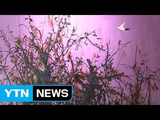 상처받은 청춘에 희망과 용기를... / YTN (Yes! Top News)