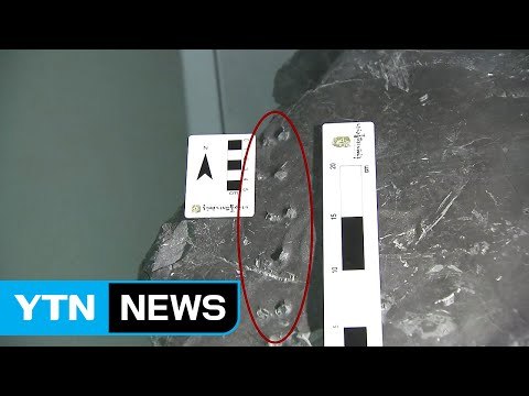 전 세계 단 하나뿐인 발자국 화석 / YTN (Yes! Top News)