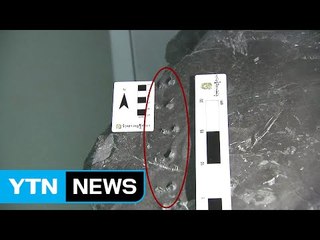 전 세계 단 하나뿐인 발자국 화석 / YTN (Yes! Top News)