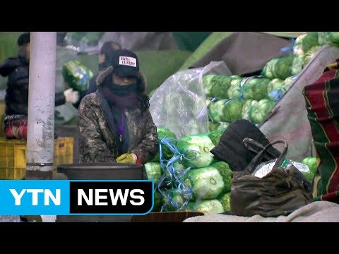 [날씨] 출근길 반짝 추위...낮부터 누그러져 / YTN (Yes! Top News)