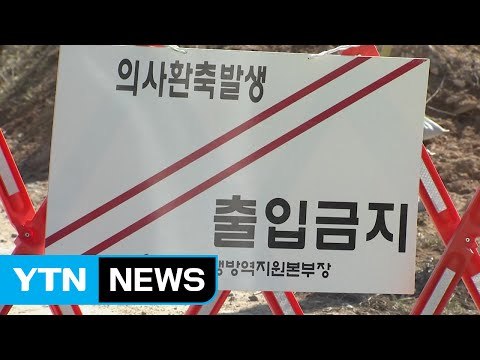 전북 고창 오리농장서 AI 의심 사례 / YTN (Yes! Top News)