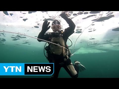 겨울 얼음 속 신비 '아이스 다이빙' / YTN (Yes! Top News)