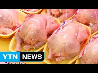 닭고기 가격 급등...상승세 지속될 듯 / YTN (Yes! Top News)