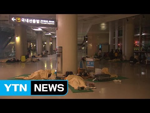 강풍으로 제주 이·착륙 항공기 55편 결항...여행객 발 묶여 / YTN (Yes! Top News)
