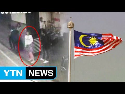 추가 용의자 '인니' 국적... 김정남 부검 보고서 작성 중 / YTN (Yes! Top News)