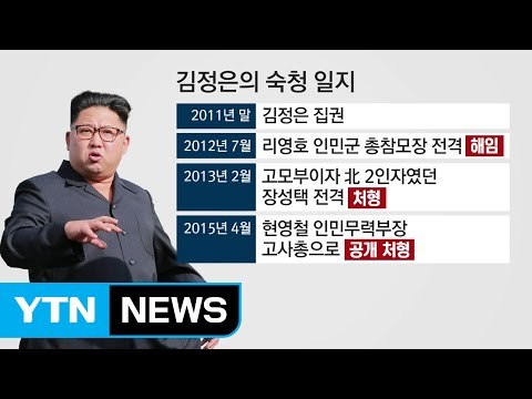 김정은 '숙청일지'와 김정남 피살 파장 / YTN (Yes! Top News)