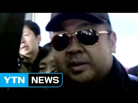 탈북기자 김정남, 지금까지 암살 안 된 게 기적 / YTN (Yes! Top News)