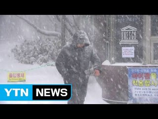 폭설과 한파 덮친 제주 / YTN (Yes! Top News)