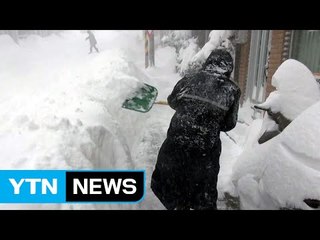 대설경보 울릉도에 '눈 폭탄' 적설량 80cm / YTN (Yes! Top News)