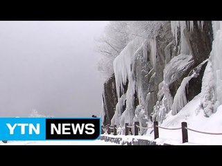 100m 고드름 벽, 무등산 '얼음 바위' 장관 / YTN (Yes! Top News)