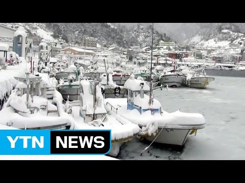 1m 넘는 눈 폭탄에 꽁꽁 얼어붙은 울릉도 / YTN (Yes! Top News)