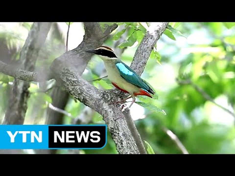 생물이 자산...韓 생물 곳간에 약 5만 종 산다 / YTN (Yes! Top News)