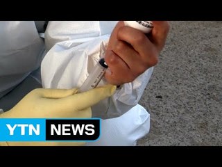 "잘못된 접종 때문"..."접종 수칙 지켰다" / YTN (Yes! Top News)