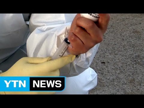 잘못된 접종 때문 ... 접종 수칙 지켰다 / YTN (Yes! Top News)