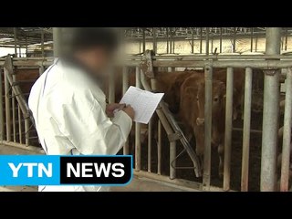 공수의사 담당 농장도 항체 0%...신뢰 추락 / YTN (Yes! Top News)