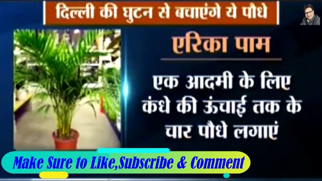 These Natural Air Purifiers can save you from Air Pollution.Best Air Purifiers for Your Home