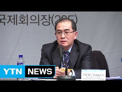 태영호 김정은, 선제타격 위협에 동요 안 해 / YTN (Yes! Top News)