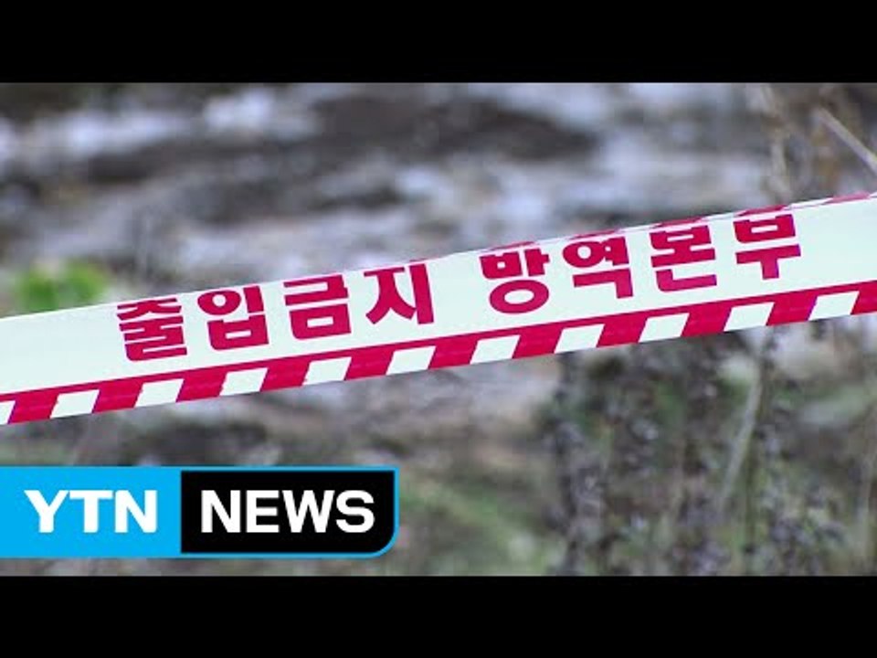 정읍서도 구제역 신고...전국 '이동 중지' 명령 / YTN (Yes! Top News)