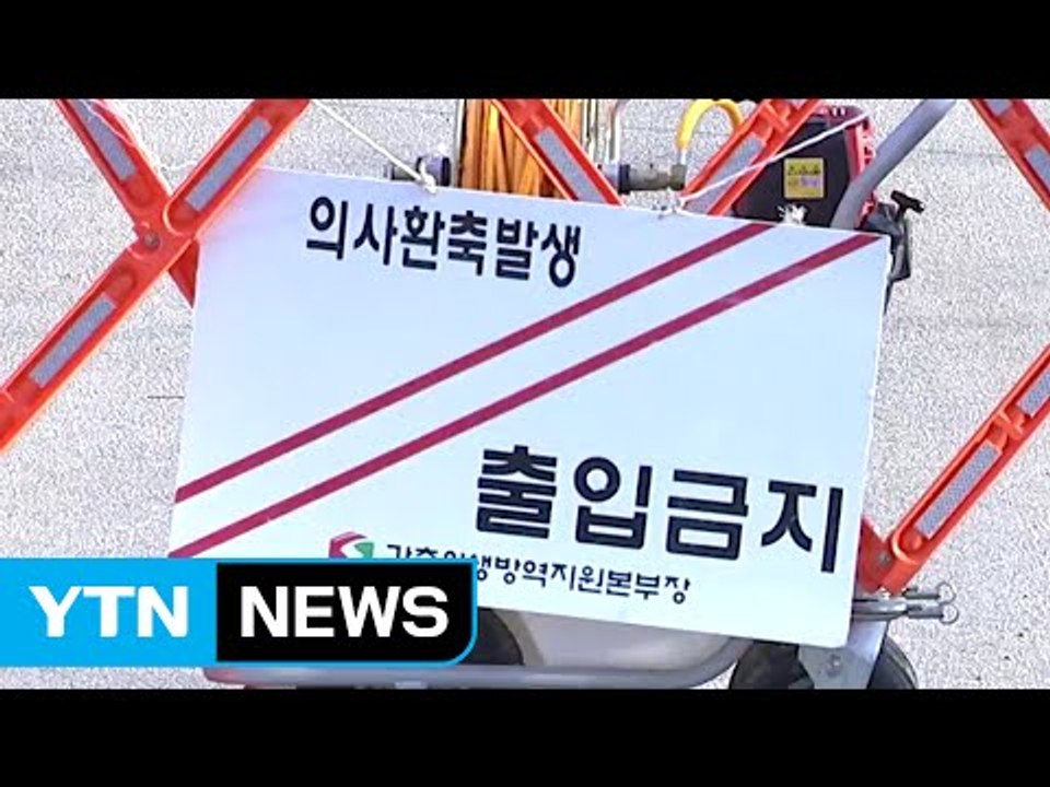 정읍서도 구제역 신고...전국 '이동 중지' 명령 / YTN (Yes! Top News)