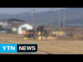 충북 보은 구제역 바이러스 해외 유입 추정 / YTN (Yes! Top News)