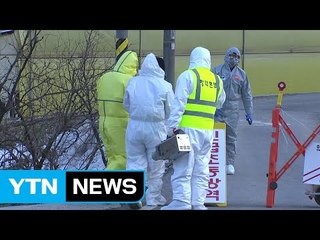 충북에 이어 전북까지...구제역 초비상 / YTN (Yes! Top News)