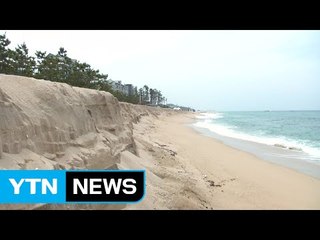 맞춤형 복구가 열쇠...모래 통합관리도 시급 / YTN (Yes! Top News)