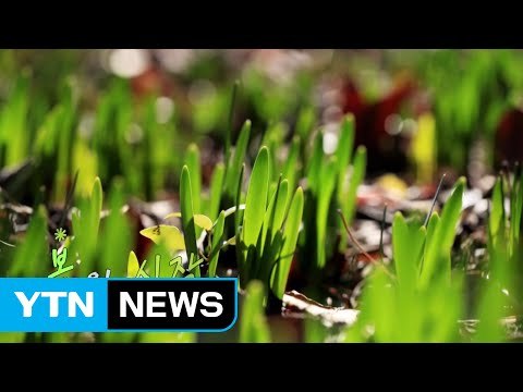 [영상] 입춘, 봄의 시작 / YTN (Yes! Top News)