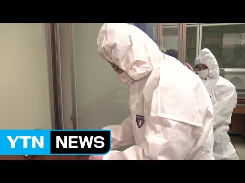 서울도 AI 뚫렸다...한강 야생조류서 바이러스 검출 / YTN (Yes! Top News)