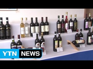 충북 영동군 '와인 관광' 메카로 만든다 / YTN (Yes! Top News)