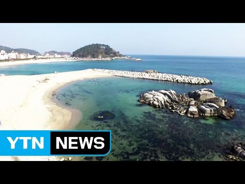 사라지는 백사장...1년 새 축구장 95개 면적 / YTN (Yes! Top News)