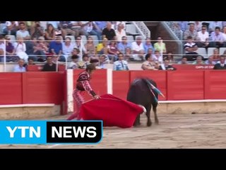 "문화유산" vs "동물학대"...기로에 선 콜롬비아 투우 / YTN (Yes! Top News)